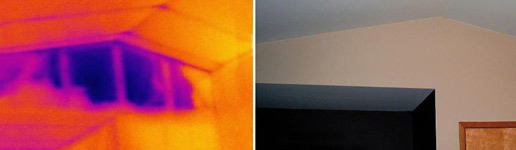 Thermal imaging inspection pictures revealing heat loss.